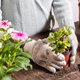 footer-widget-gallery-img-6